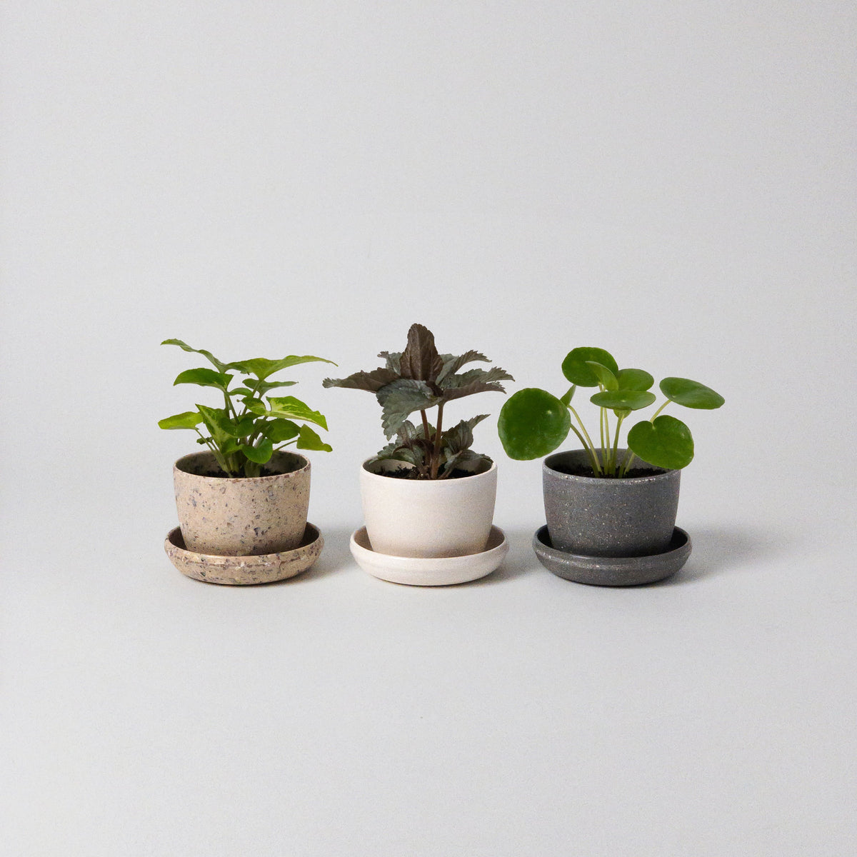 Three Set | Mini Planter Pots Harmony Set – Kanso Designs