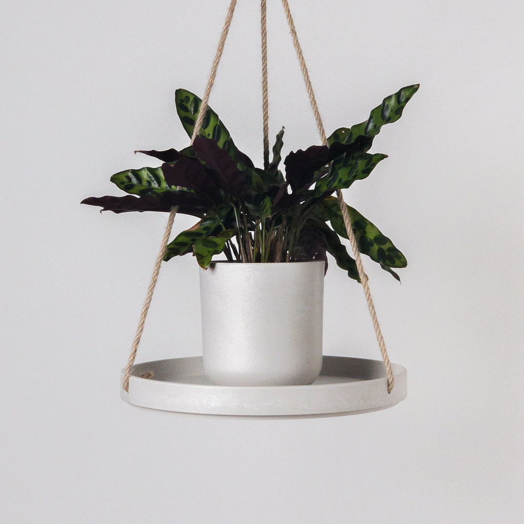 Plant-Pot-Hanging-Tray