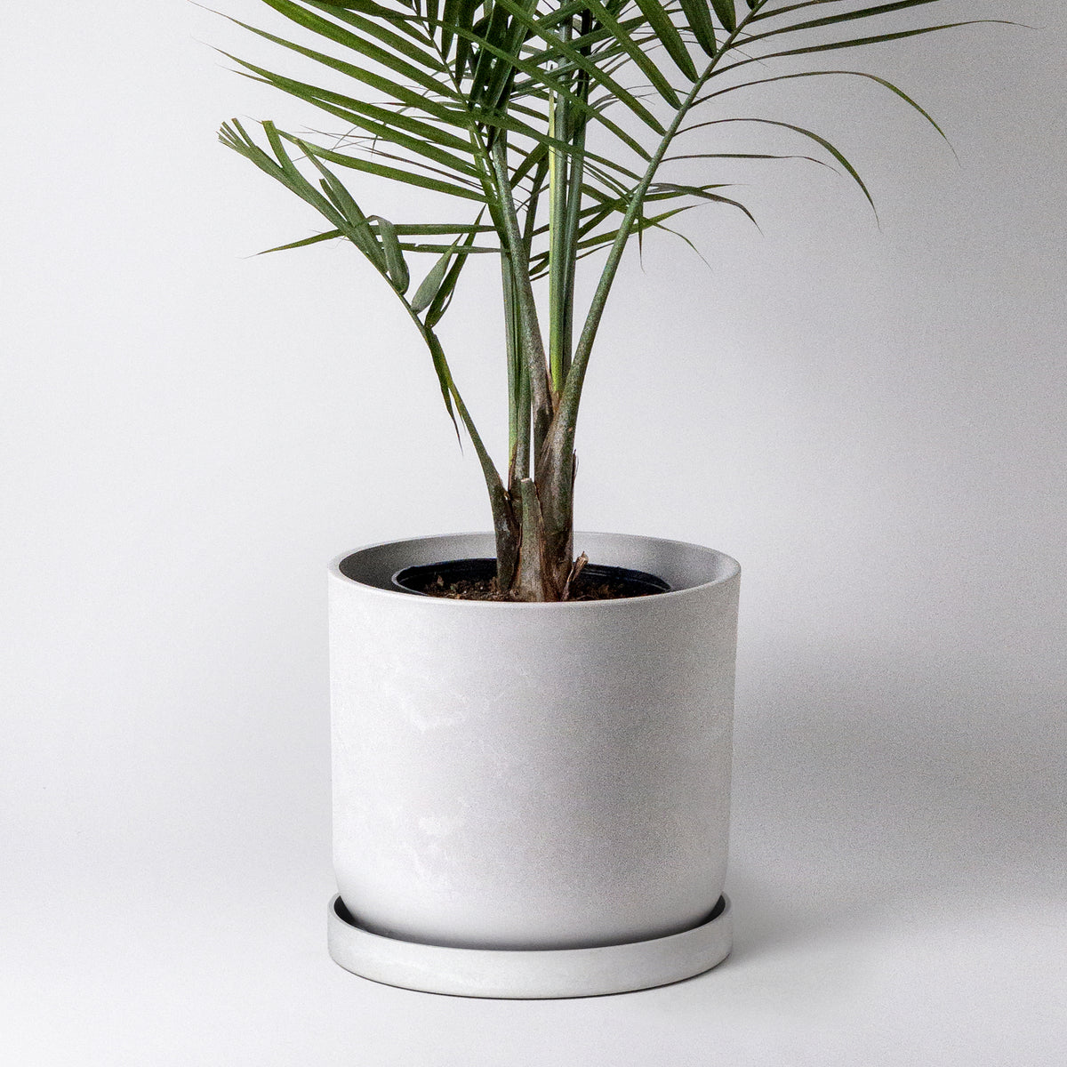 12 inch tall plant pot 16" & 12” Signature Stone Planter