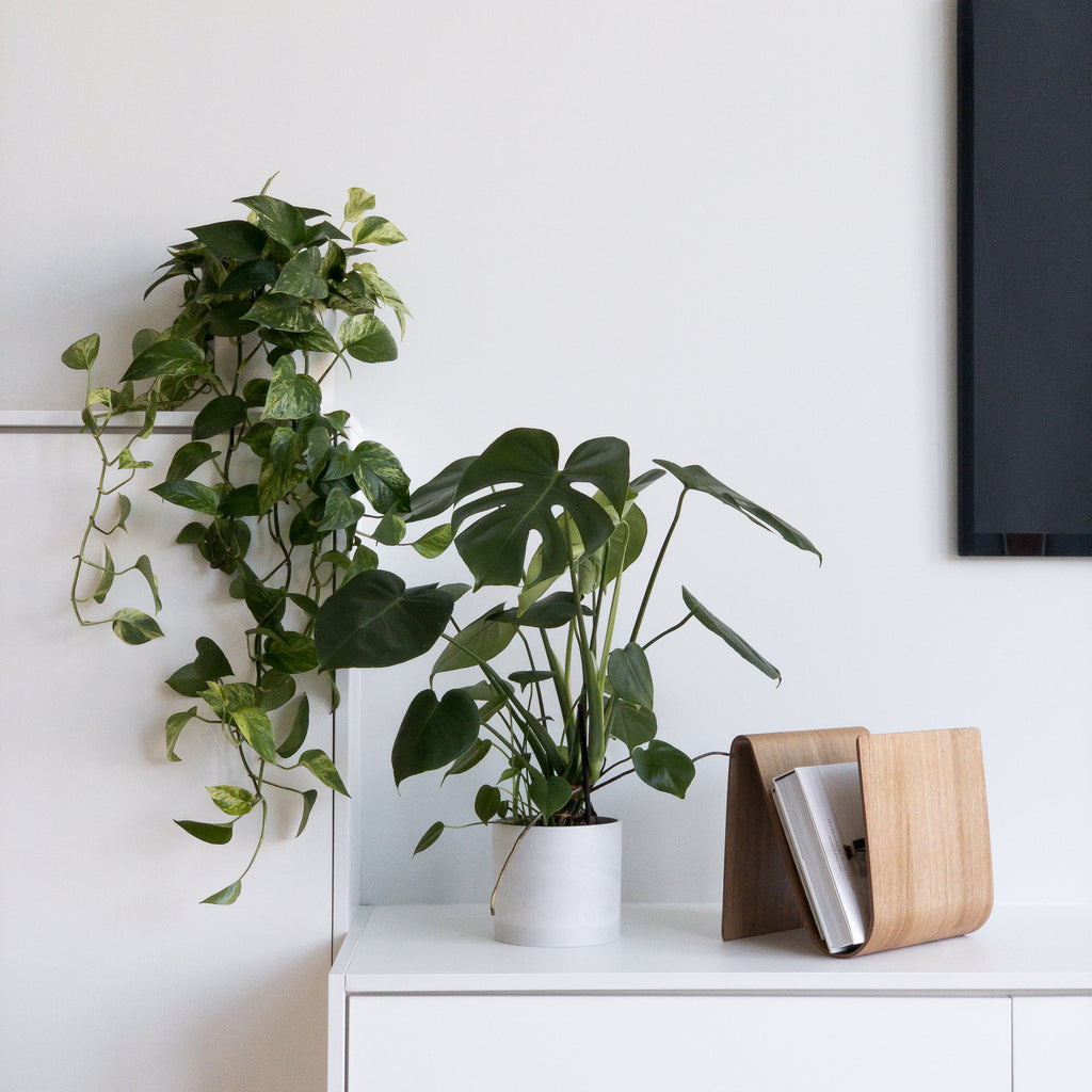 slow living practices with plants