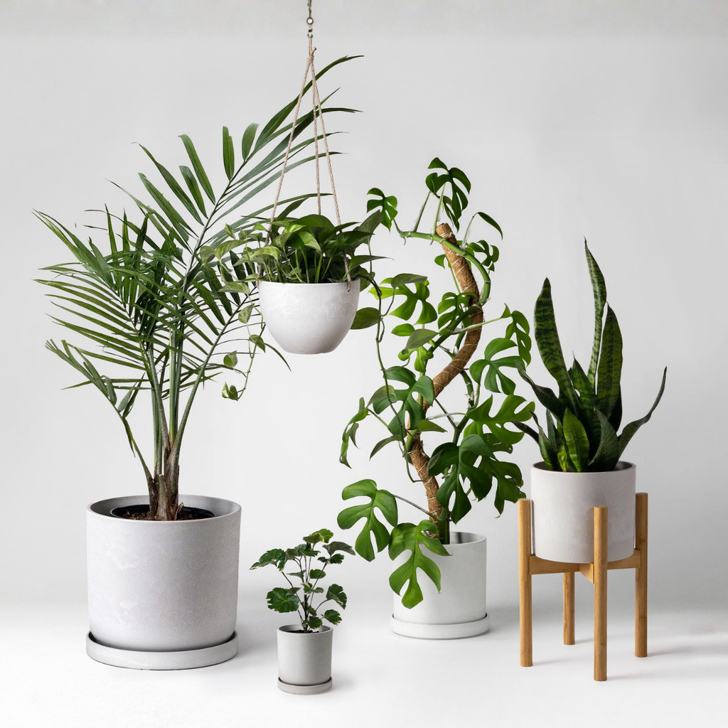 amazon plant pots indoor Three Set