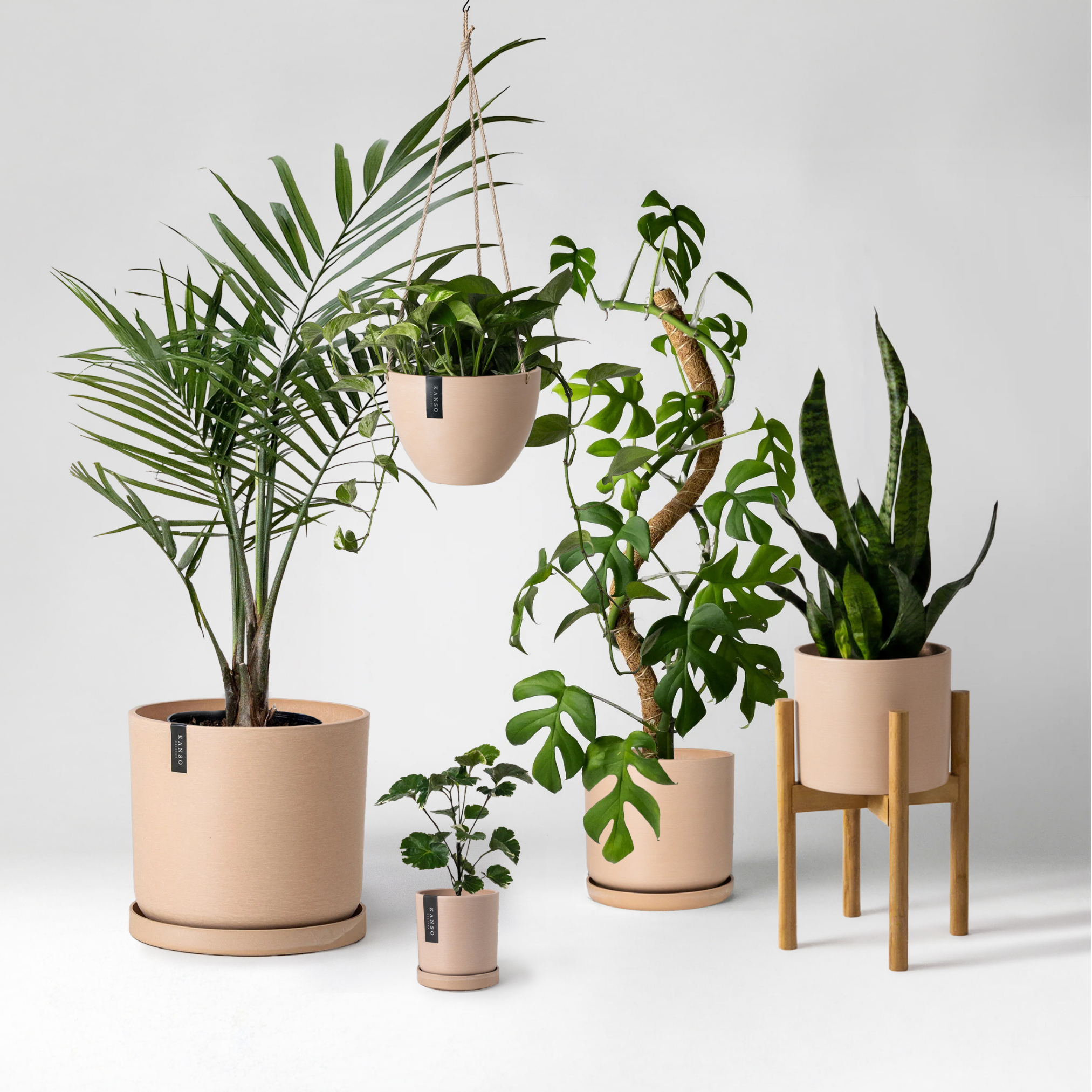 scandi plant pots The Ultimate Planter Set Bundle