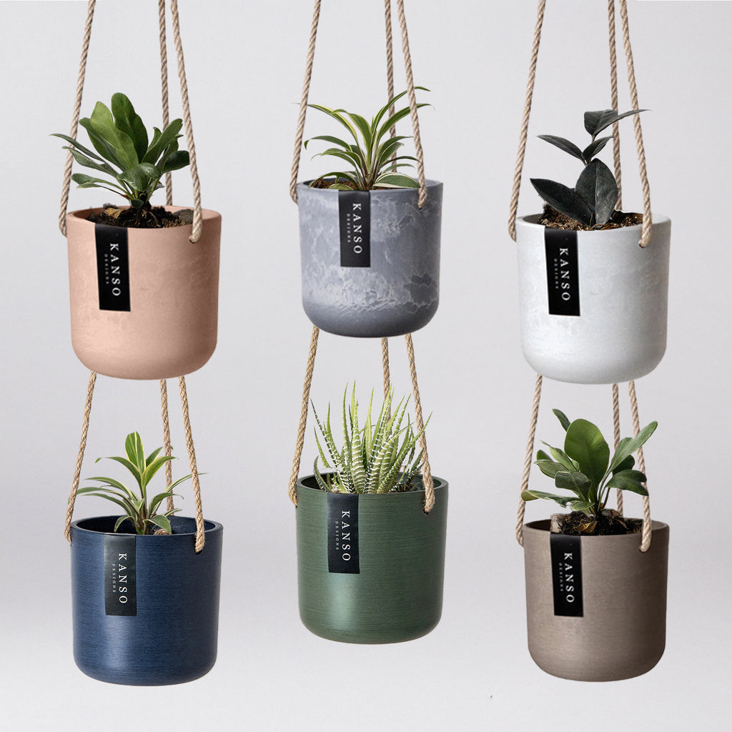 Do Plant Pots Need Drainage Holes?  Kanso Designs