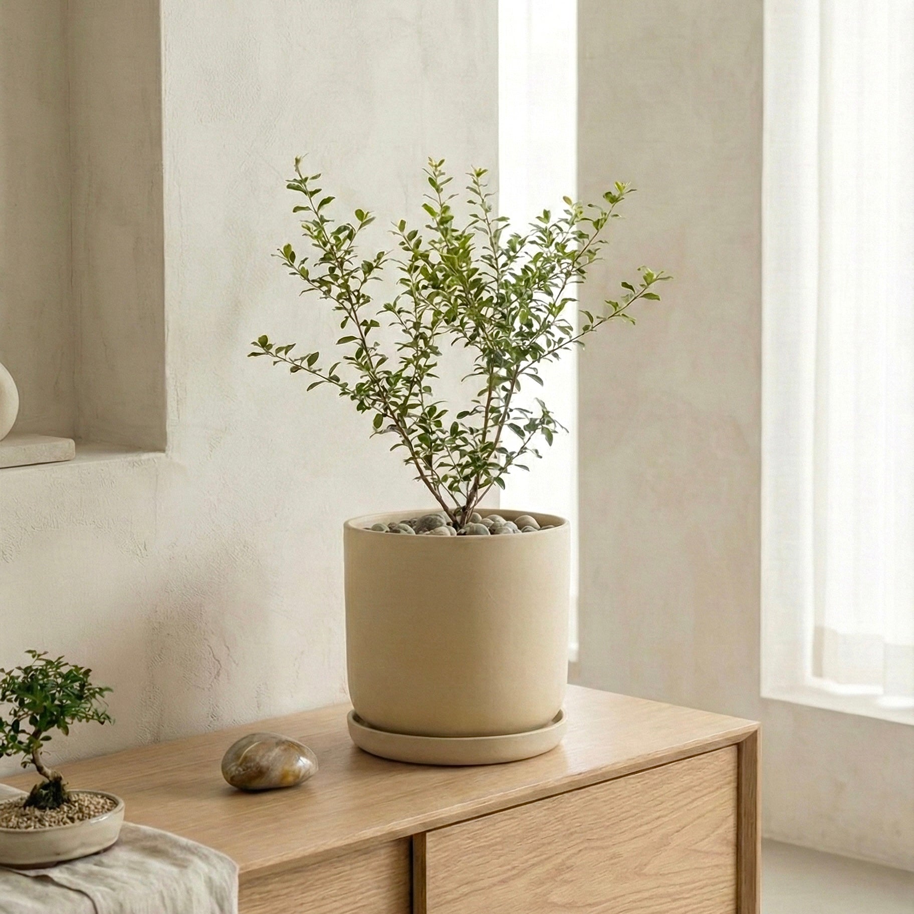 9” Signature Stone Planter & Saucer | Earth Tones