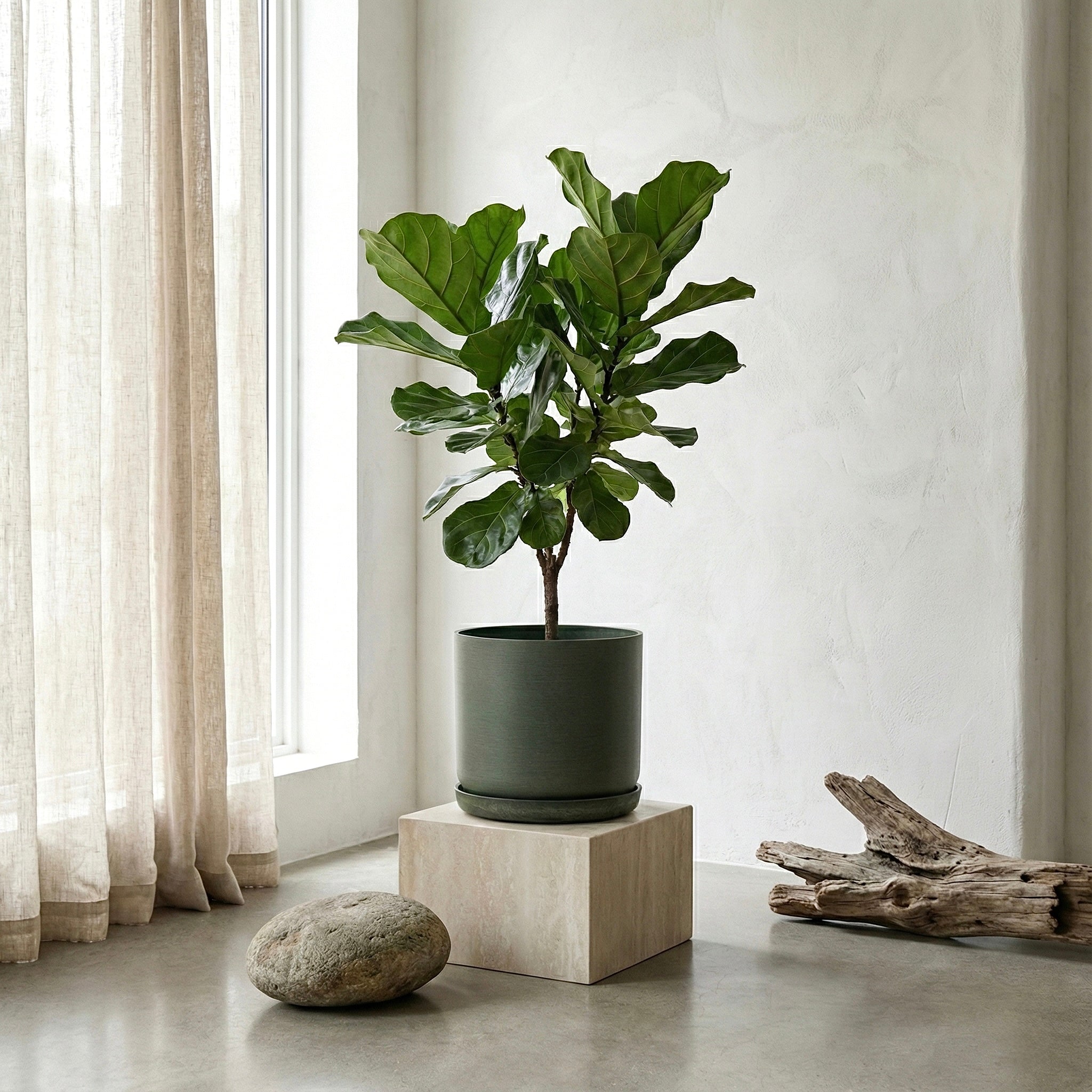 9” Signature Stone Planter & Saucer | Earth Tones