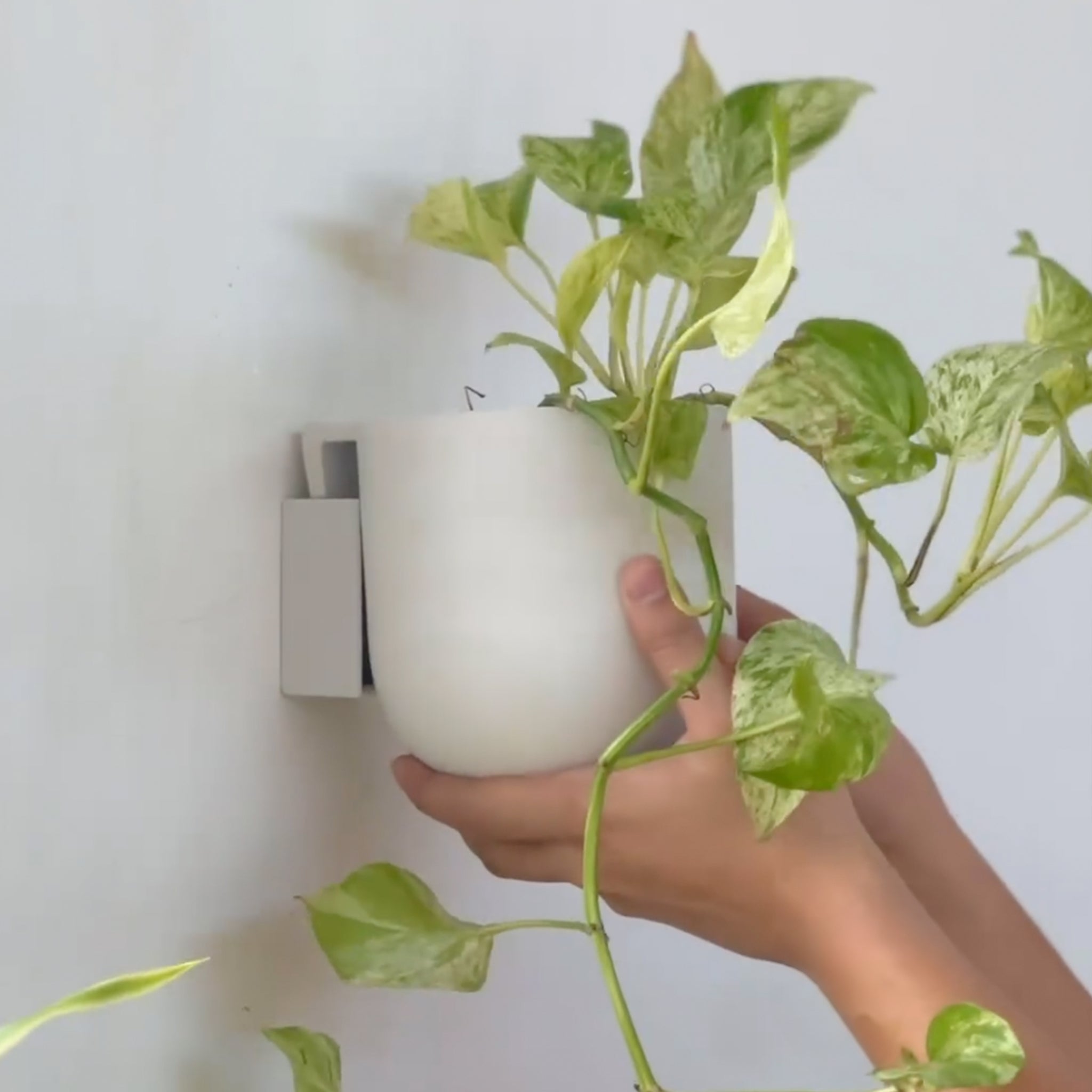 kanso hanging planter 5" & 7" Wall Mounted Recycled Plastic Planter Pots – Kanso Designs