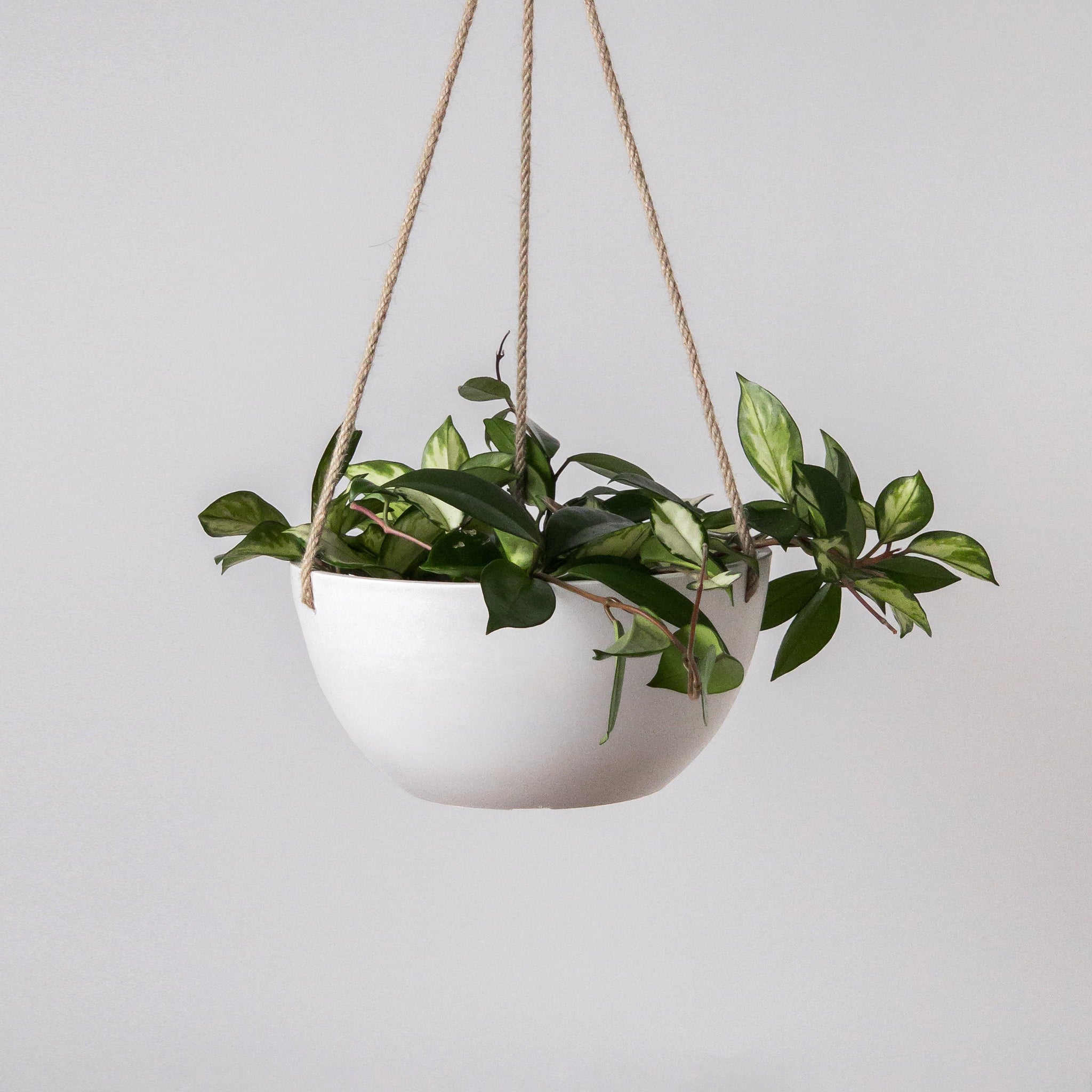stone hanging planter 12" Rounded Signature Stone Hanging Planter with Drainage Muted Coral