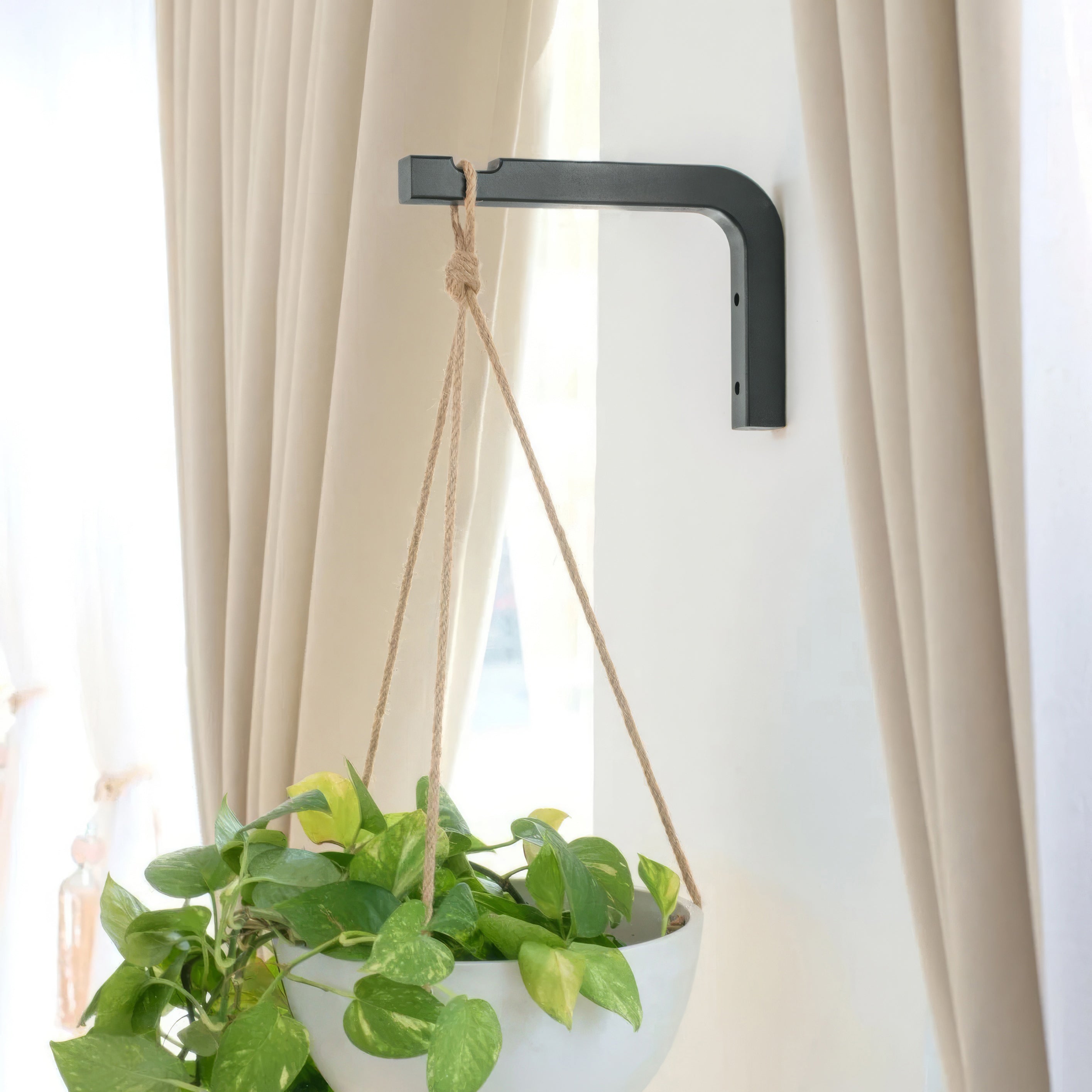Wooden Plant Hanger Hook