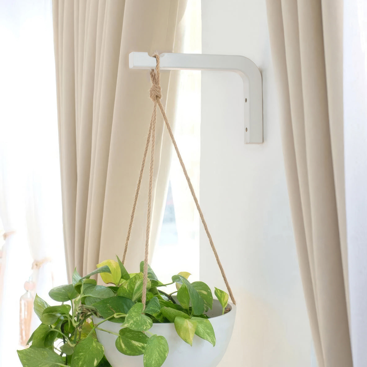 wooden plant hanger bracket Wooden Plant Hanger Hook Birch