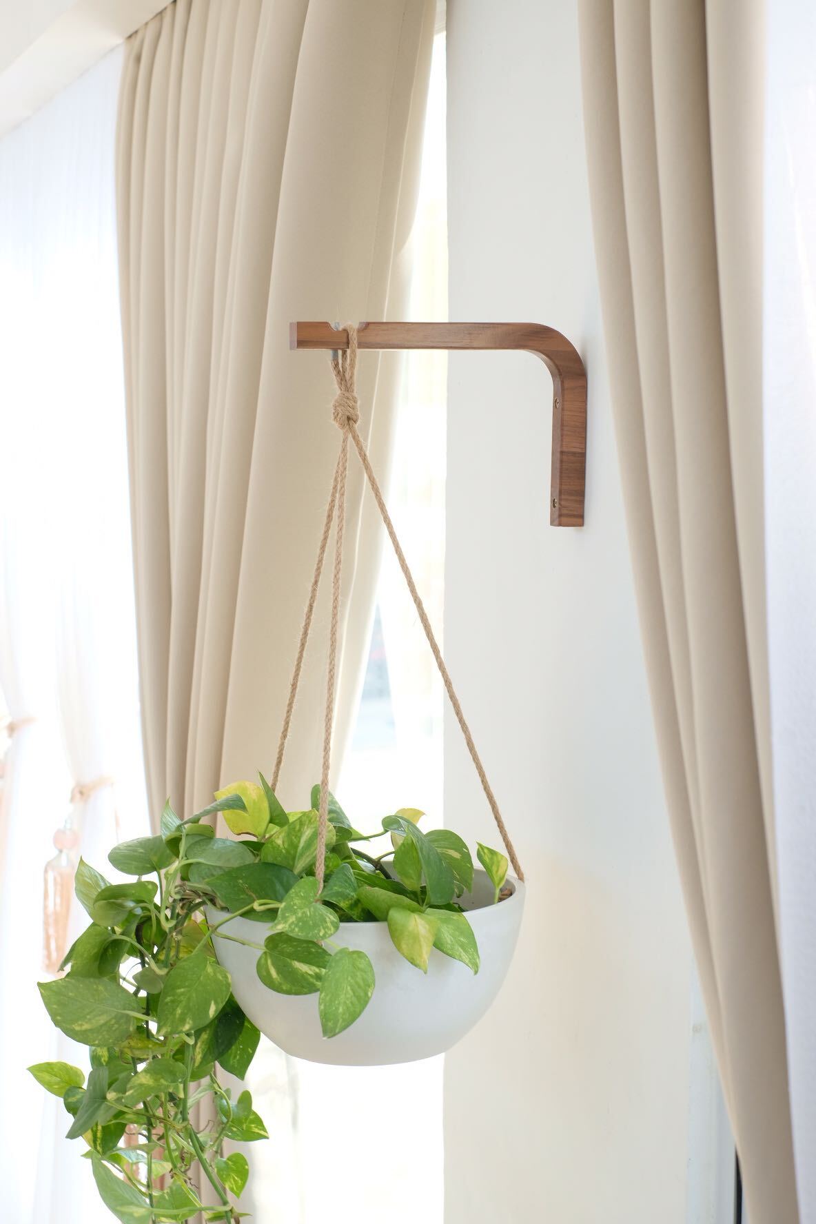 Walnut & Birch Wall Hanger