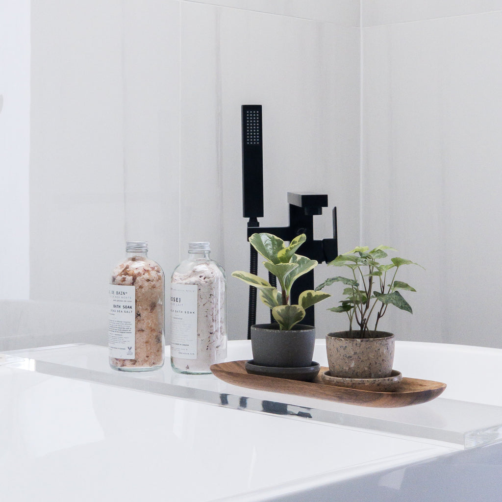 bathroom-decor-plants