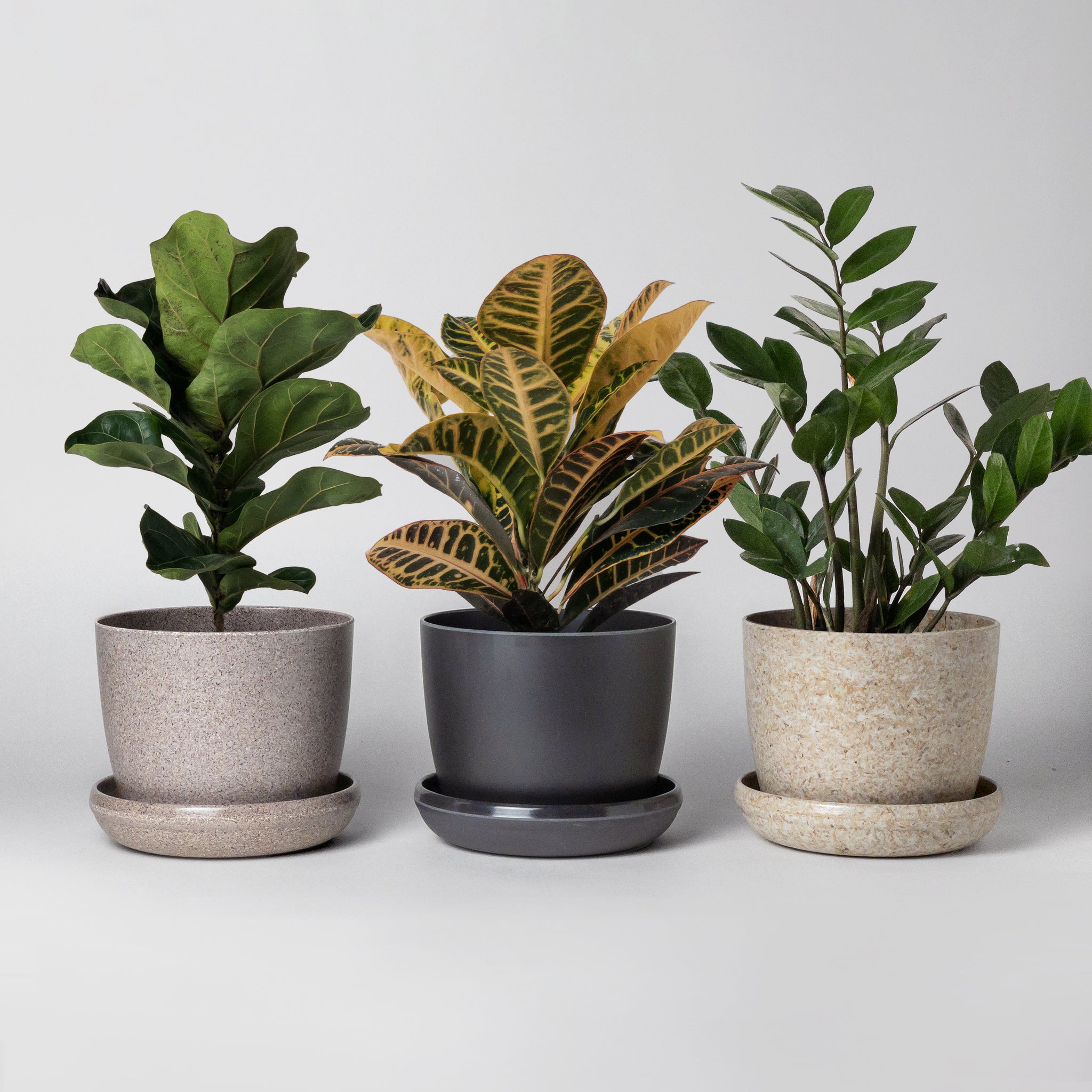Three Set | Mini Planter Pots Essence Set – Kanso Designs