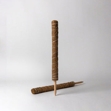 Small-thin-coco-moss-pole