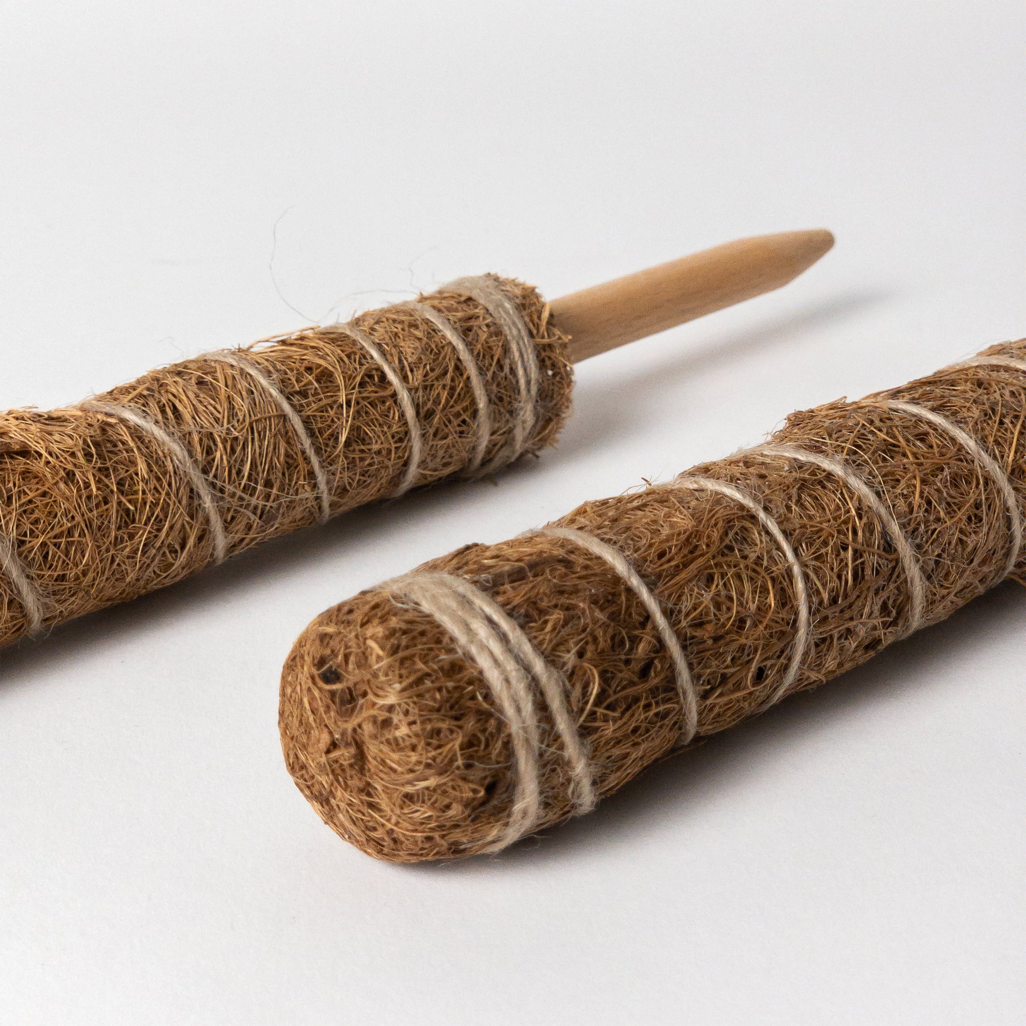moss vs coco coir pole Two Pack