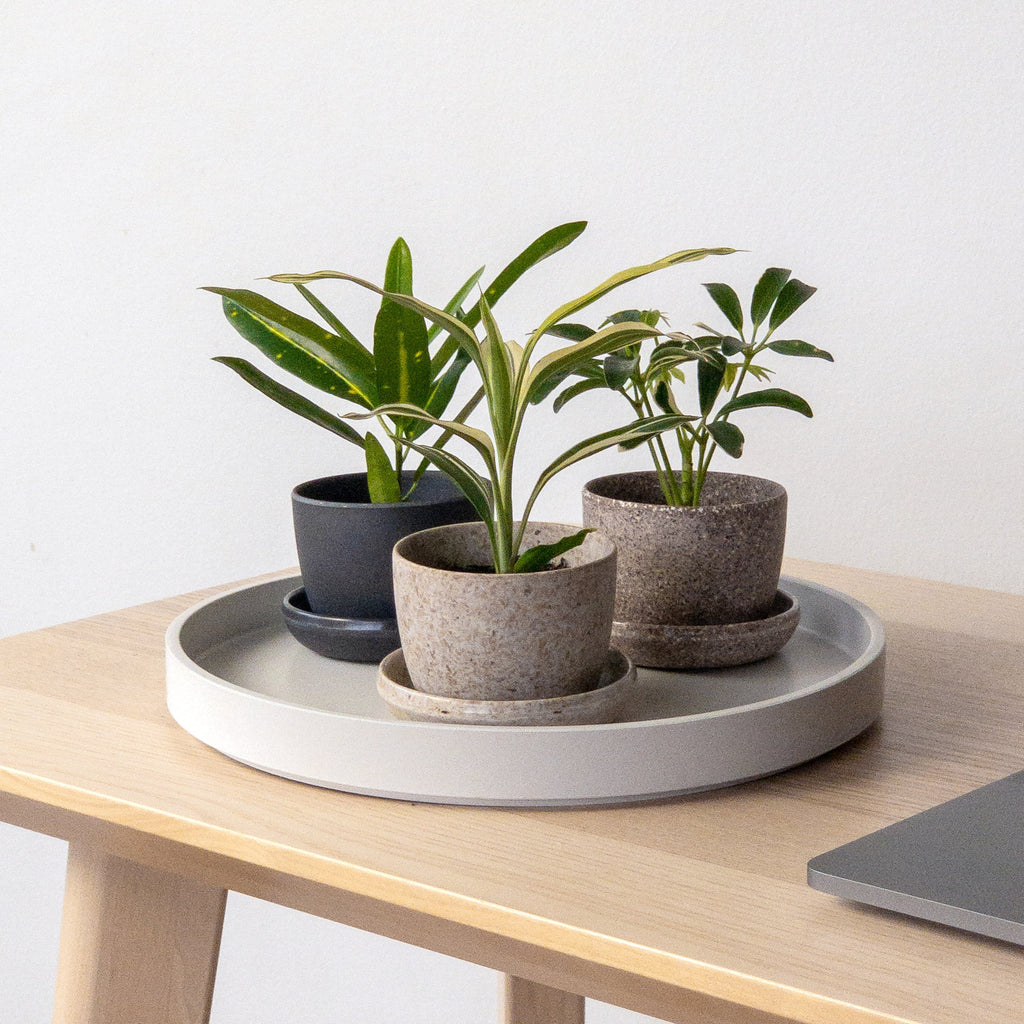 Mini-Planter-Pots-with-Plants-on-Desk