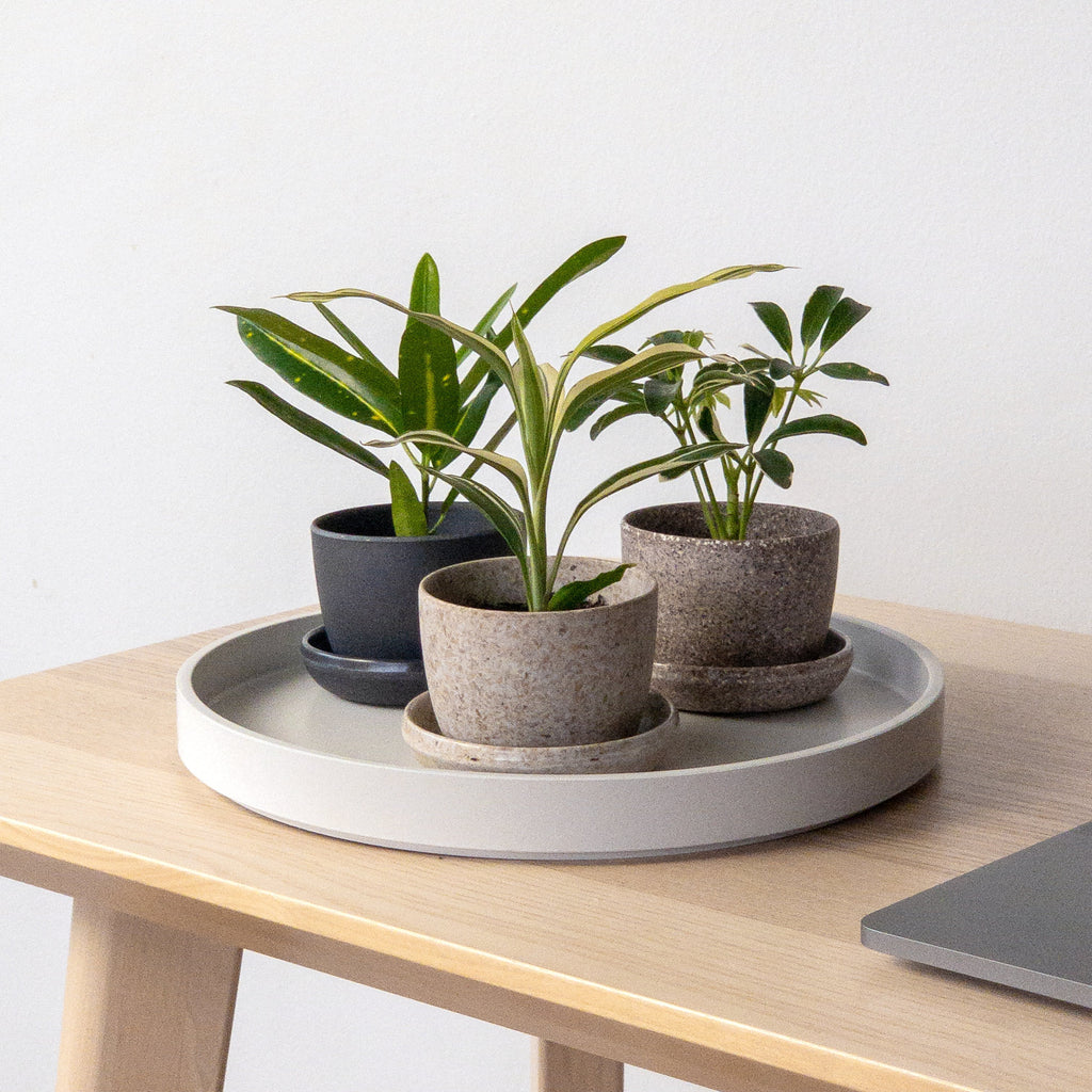 mini-planter-pots-on-table