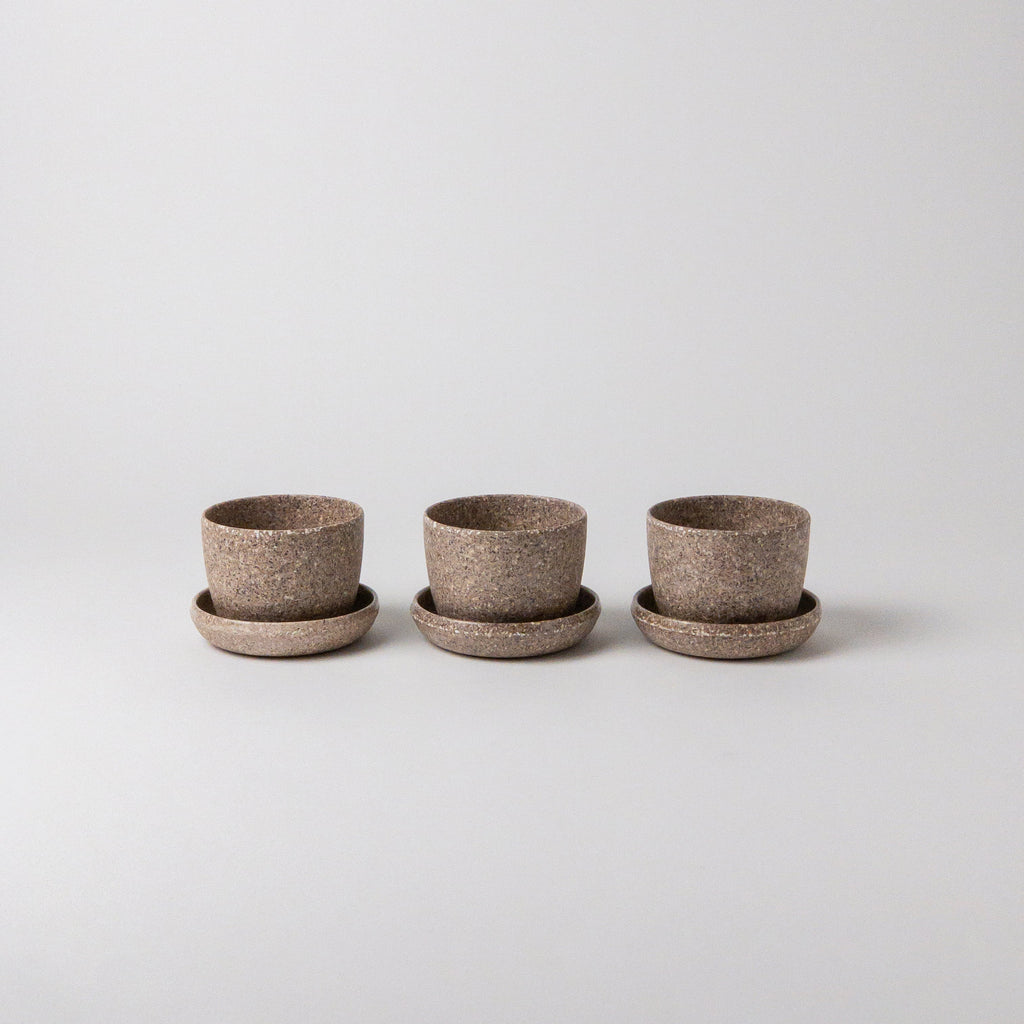 Mini-Planter-Set-Nut-Husk