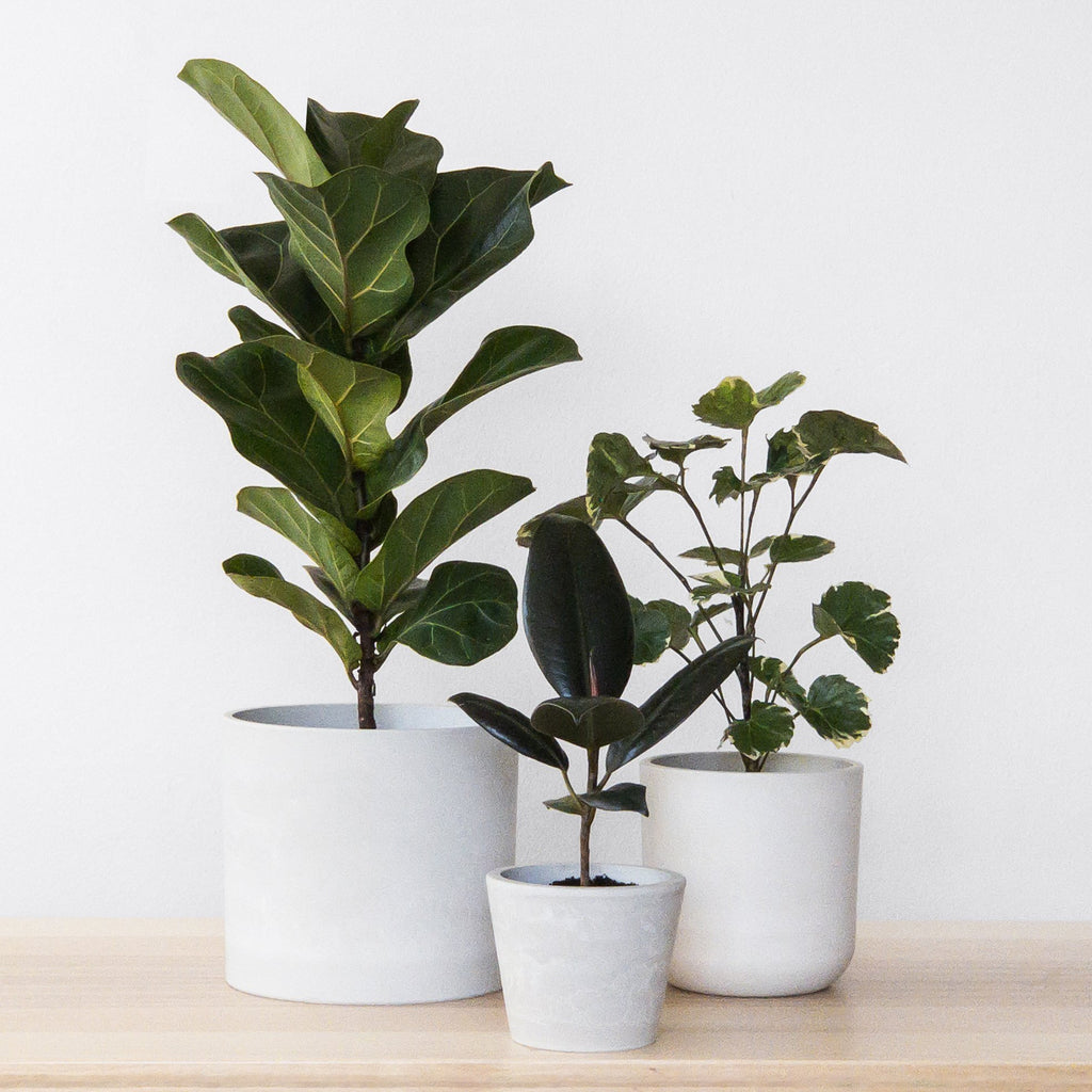 Set-of-3-planter-pot