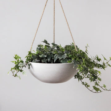 English-Ivy-12-Inch-White-Hanging-Planter