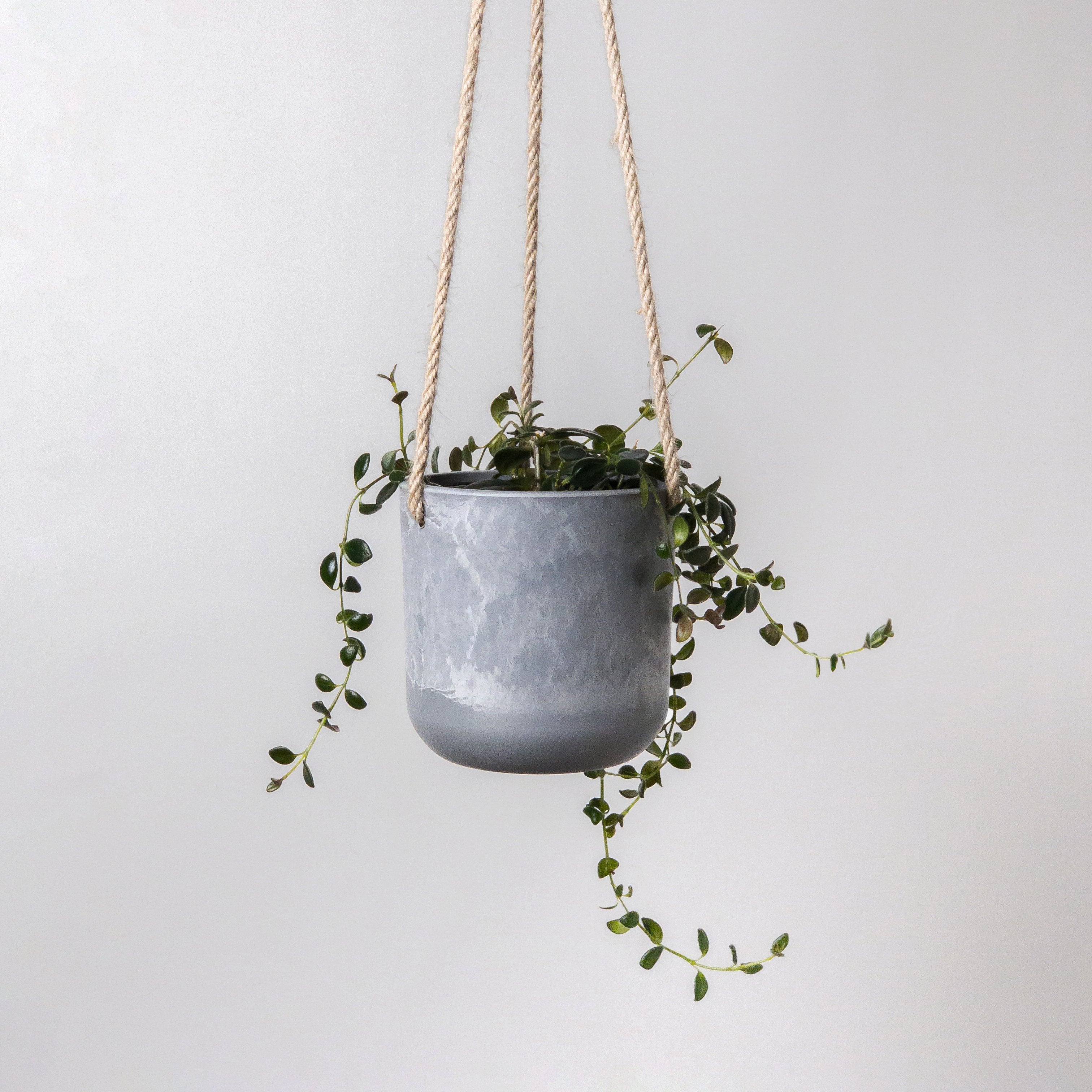 4-Inch-Gray-Hanging-Planter-Pot-Plant