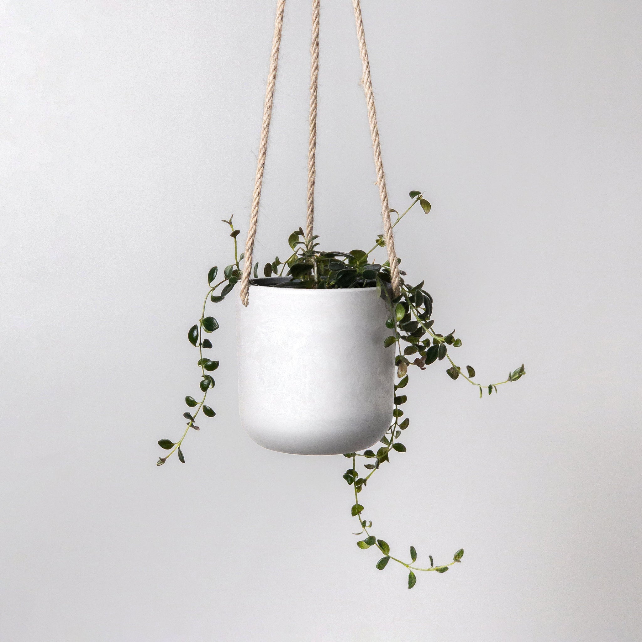 4 hanging planter 4" Signature Stone Hanging Planter with Drainage Olive Sage