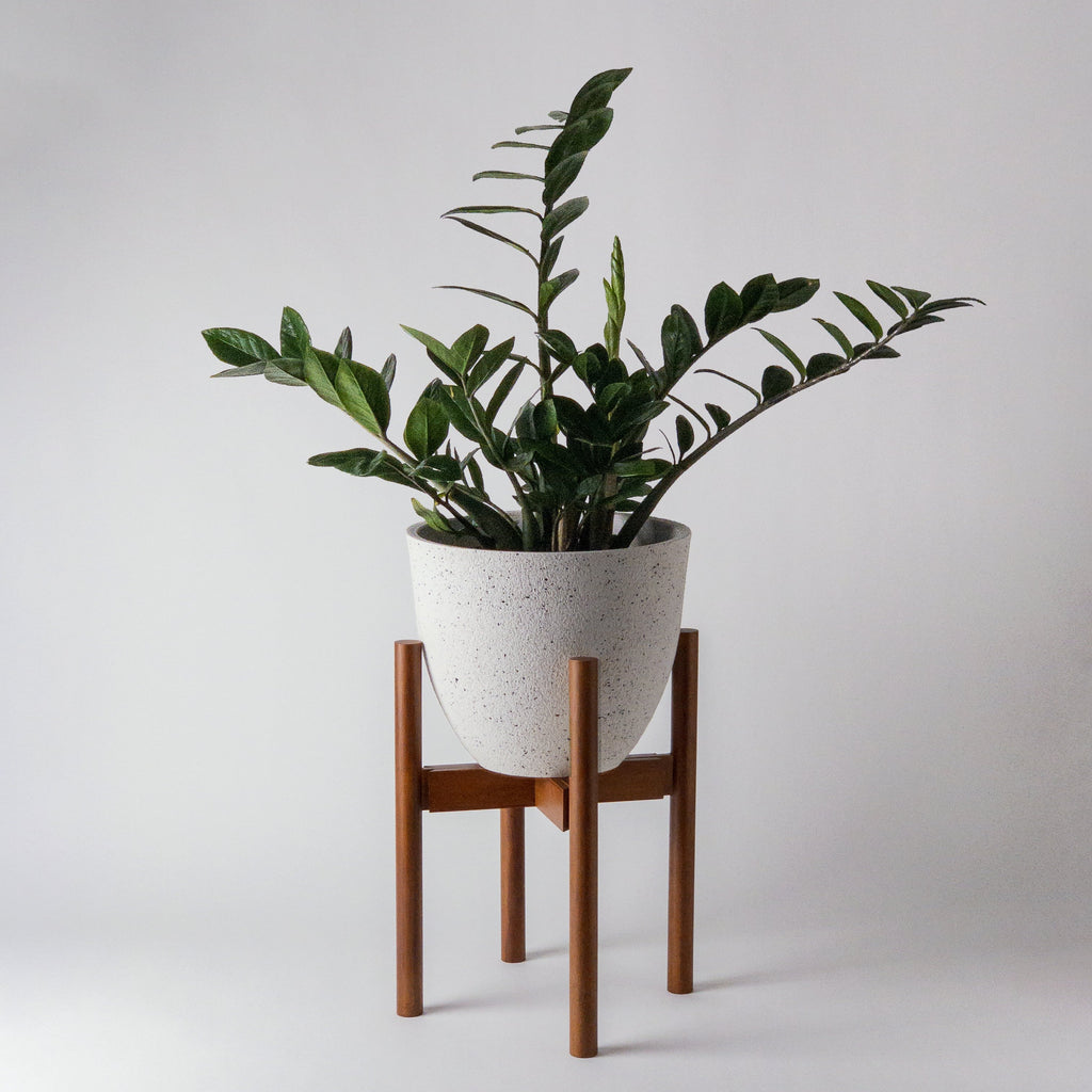 zz-plant-pot-stand