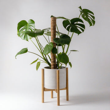 Monstera-Moss-Pole-Planter-Pot-Stand