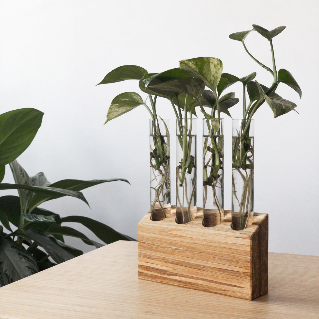 Wooden-Propagation-Station