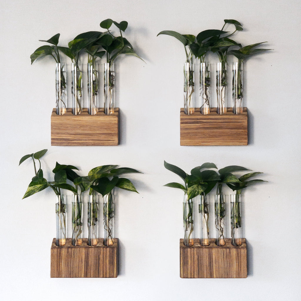 Wall-Mount-Pothos-Wooden-Propagation-Station-Stand