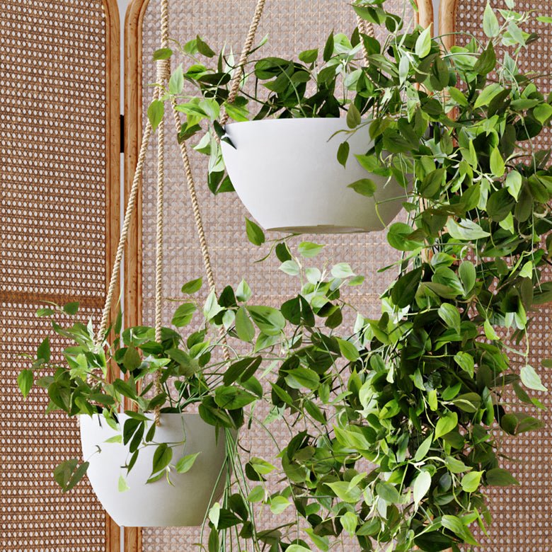 kanso hanging planter 8" or 12" Signature Stone Hanging Planter with Drainage 8 & 12 inch set / White Stone